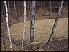 PB042477.JPG