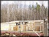 PB112502.JPG