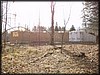 PB112504.JPG