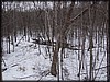 PC032552.JPG