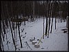 PC032554.JPG