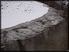 PC032567.JPG