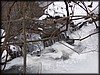 PC032569.JPG