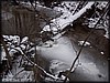 PC032570.JPG