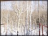 PC172595.JPG