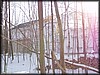 PC172598.JPG