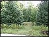 P9082272.JPG