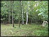 P9082274.JPG