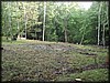 P9082278.JPG