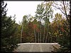 PA132419.JPG