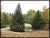 PA132420.JPG