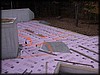 PA202434.JPG