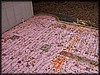 PA242451.JPG