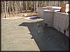 PA292459.JPG