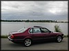 P9030021.JPG