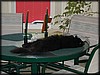 P8310001.JPG