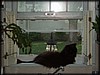 P7040126.JPG