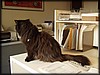 P8070249.JPG