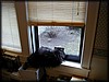 P4080001.JPG