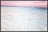 pict040.jpg
