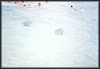 pict044.jpg