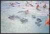 pict055.jpg