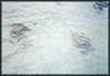pict056.jpg