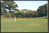 pict076.jpg