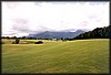 pict015.jpg