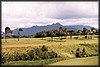 pict017.jpg