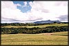 pict020.jpg