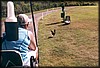 pict023.jpg