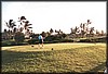 pict051.jpg