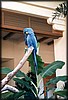 pict060.jpg