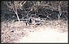 pict064.jpg