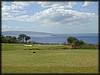 PA170085.JPG