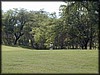 PA170095.JPG