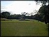 PA180010.JPG