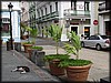 P1260652.JPG