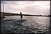 pict034.jpg