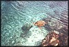 pict040.jpg