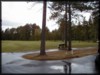 P9100008.JPG