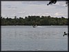 P9172324.JPG
