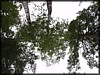 P9172338.JPG