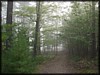 P9142928.JPG