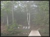P9142931.JPG