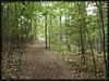 P9162985.JPG