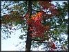 IMG_1349.JPG
