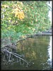 IMG_1354.JPG