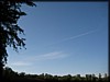 IMG_1355.JPG